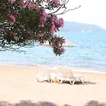 ゴールデン キー ヒサルニュ