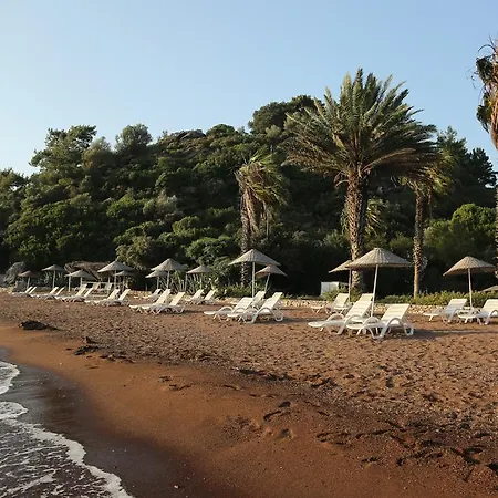 酒店 Golden Key 希萨勒尼