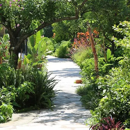 酒店 Golden Key 希萨勒尼