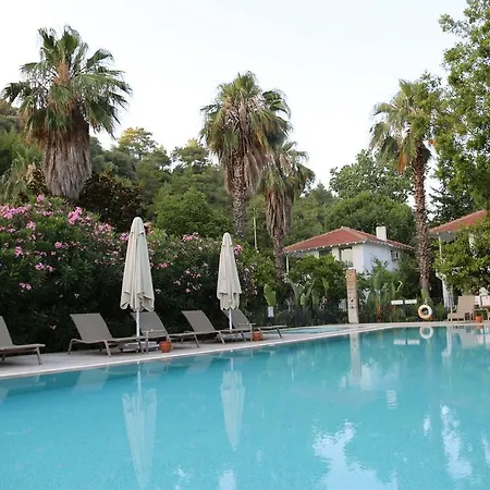 Golden Key 希萨勒尼