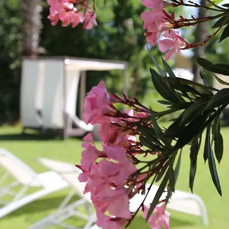 Golden Key 希萨勒尼